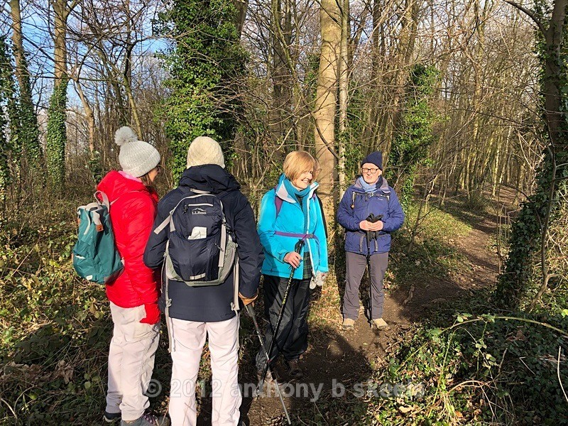 011  Arrival at Whitcliffe wood to regroup - York Minster Walkers Collection 2024