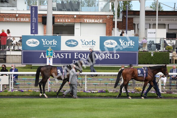 yr13052021r4-6 - Race 4 3.10pm Al Basti Equiworld Dubai Dante Stakes