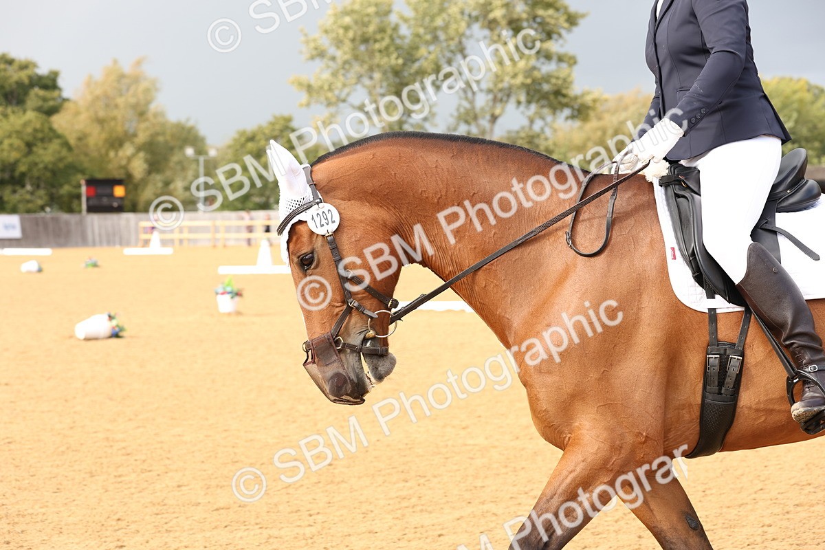 SBM_26940 - D17 - Grand Tour Championship Novice 3