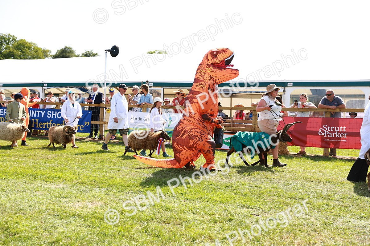 SBM_08406 - Grand Parade