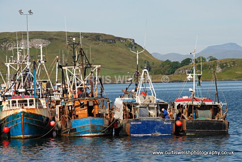 36 - WEST of SCOTLAND