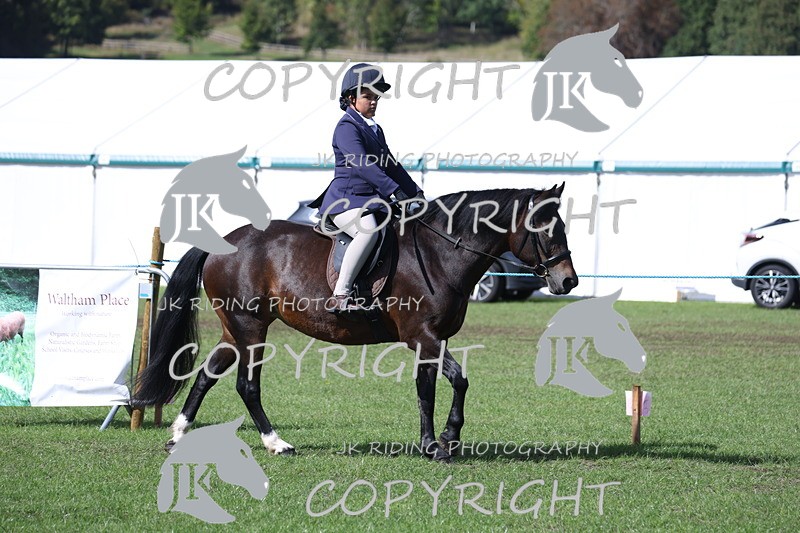 APP_3523 - Class 12 M&M ridden