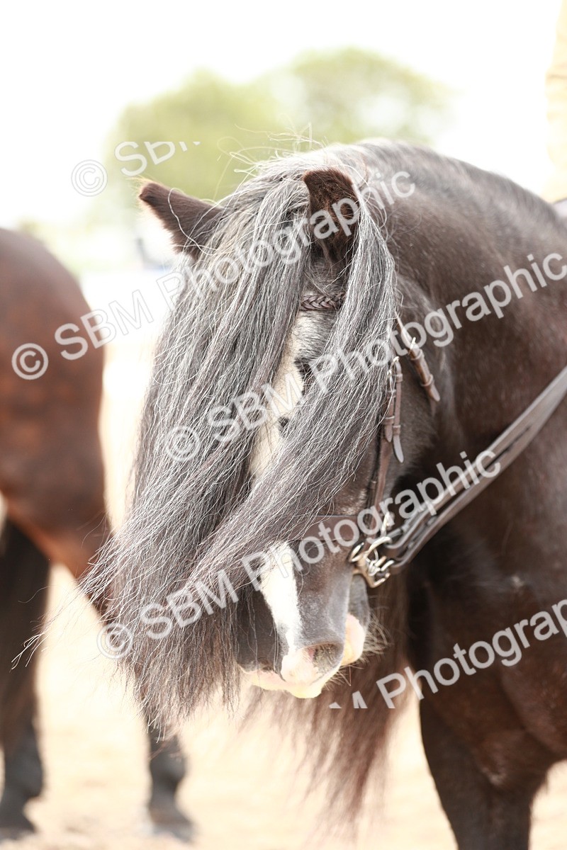 SBM_16723 - Class 214 Ridden Cob