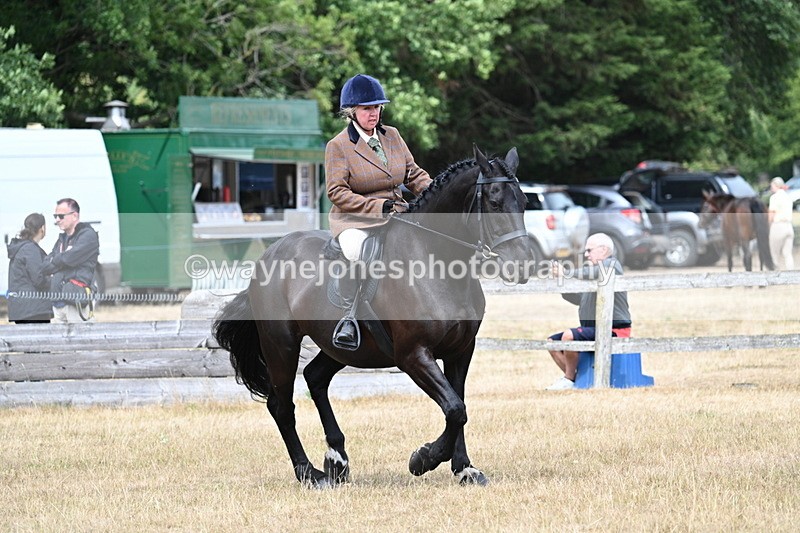 WJ7_1315 - Class 8 Ridden Veterans