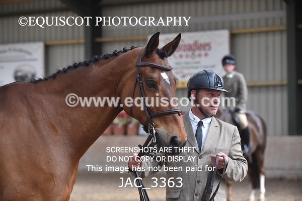 JAC_3363 - CLASS 8 BHS Scotland Riding Club Working Hunter Qualifier