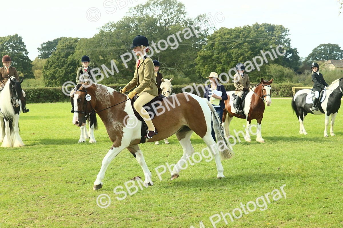SBM_67645 - S56 - Coloured Pony Ridden