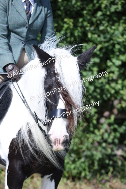 20250831-2534 - Class 16 - Family Pony