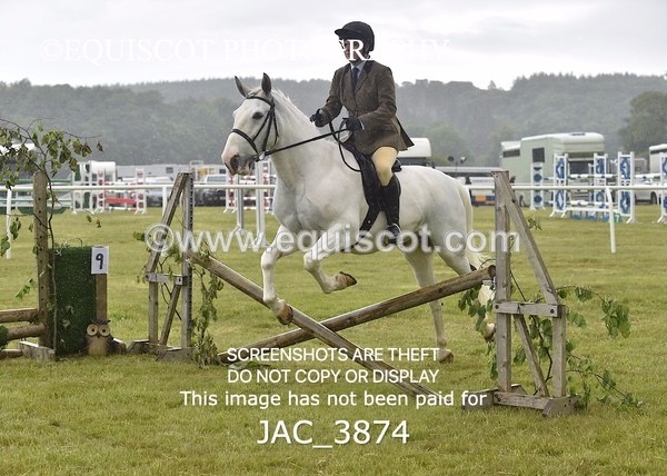 JAC_3874 - 55cm WORKING HUNTER