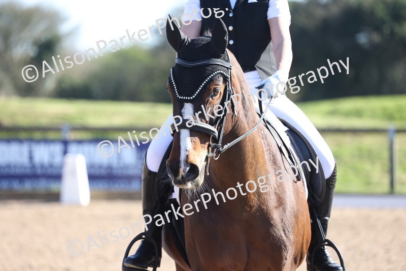 20260318-0855 - Class 8 - Elementary 2