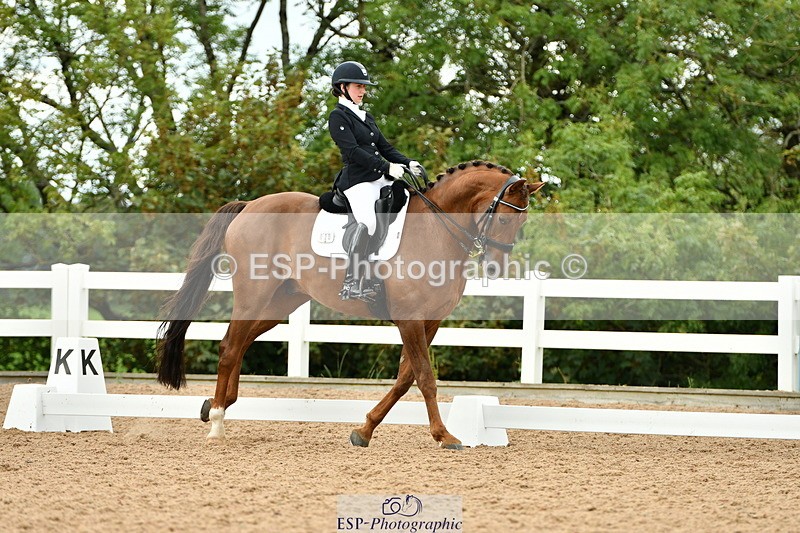 230912A-153144-01580 - Cls 13 Adv Medium 91