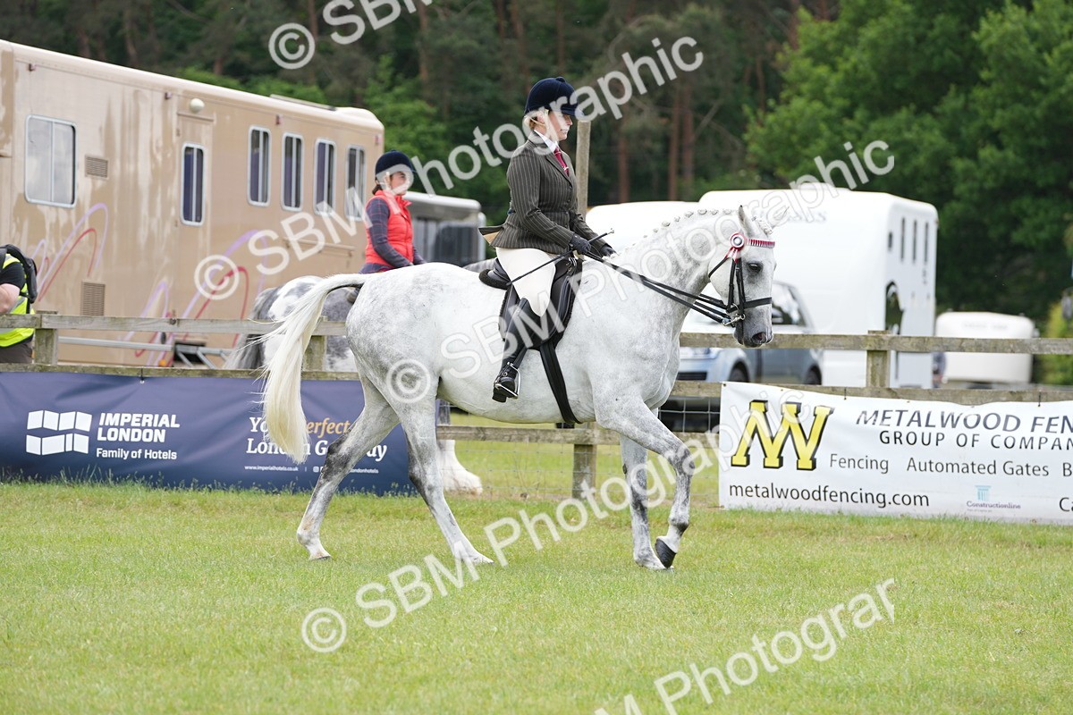 SBM_16166 - Class 105-106 - RIHS Riding Horses
