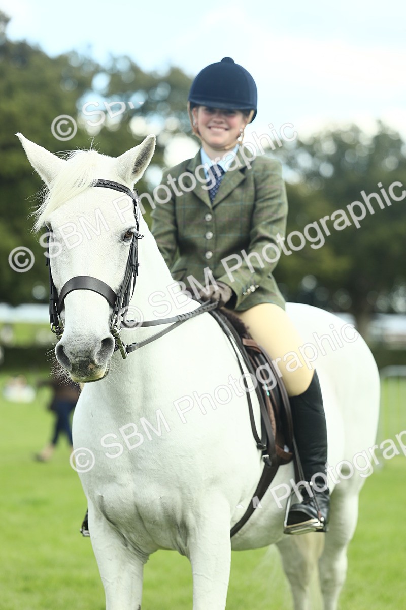 SBM_42222 - S29 - Novice & Newcomers Working Hunter Pony