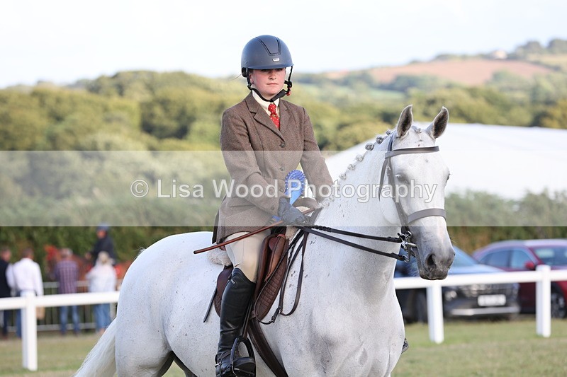 JPP_3738 - Working Hunter Championship