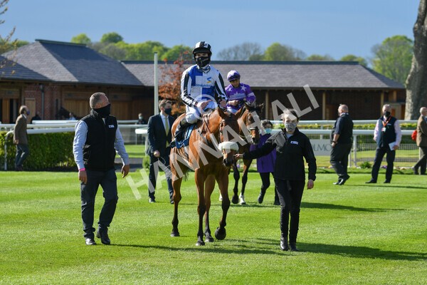yr13052021r7-37 - Race 7 4.50pm Autohorn Stakes