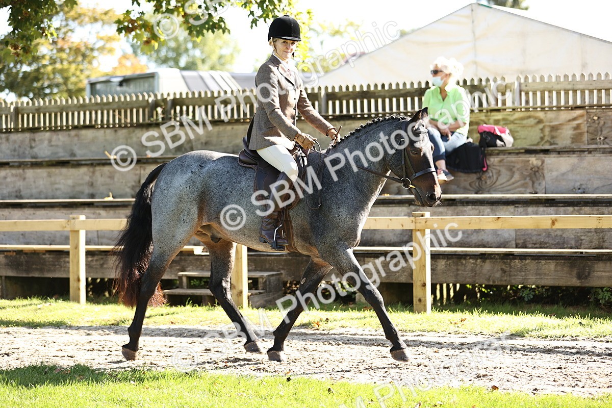 SBM_16899 - S2 - TSR Ridden Pony Showing