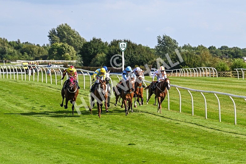 060824-Race 5-Jamih-2916 - Race 5