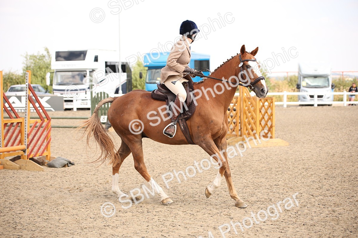 SBM_13597 - Class 406b - Working Veteran 50cm (20+)