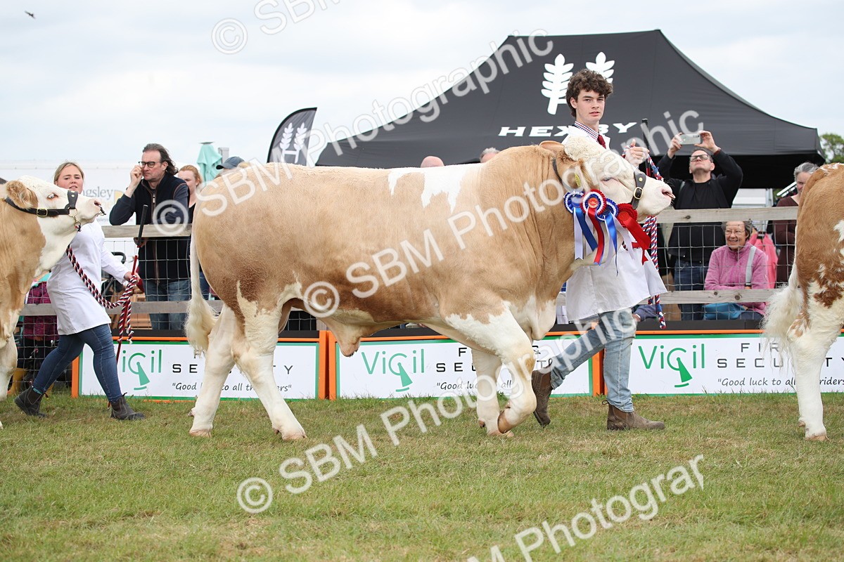 SBM_07868 - Grand Parade