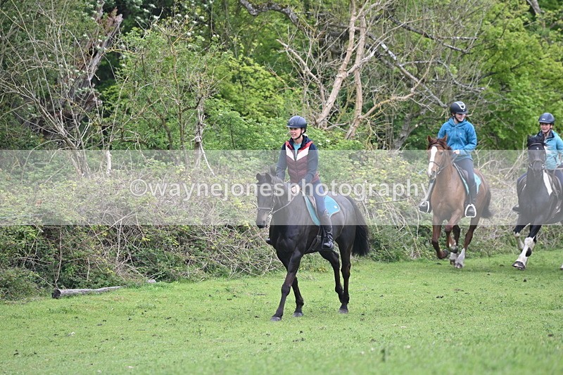 WJ6_2920 - A Camera