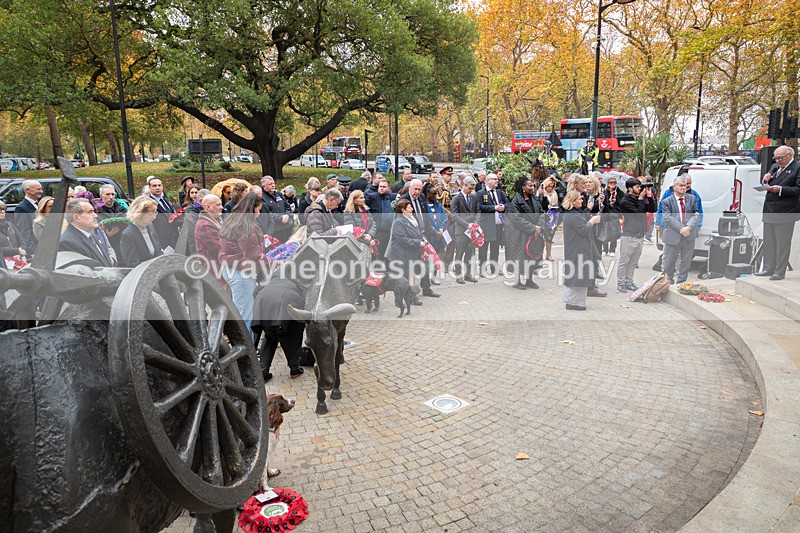 Z62_4585 - Animals In War Memorial 2025 - Park Lane, London