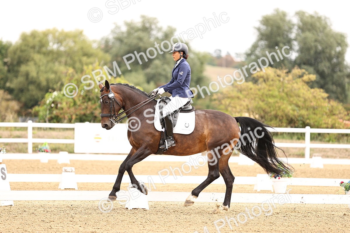 SBM_011604 - Class 1 - Medium 5