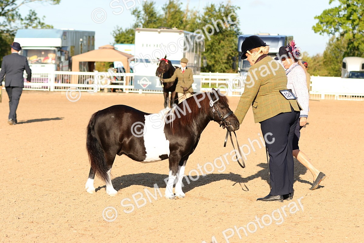 SBM_08013 - Class 201 - Best Turned Out - IH