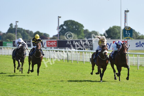 yr12062021r5-17 - Race 5 4.15pm Reg Griffin Appreciation EBFstallions.com Maiden Stakes