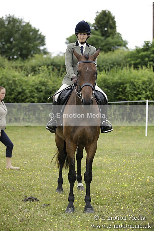 BVR160717-1043 - Ring 1 BVRC Show 16/07/17