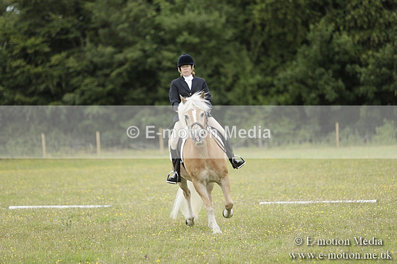 BVR160717-1159 - Class 2 Dressage 16/07/17