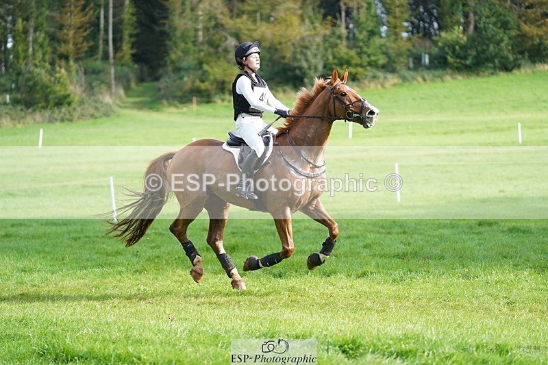 231020-114016-06963 - 049-AUGUSTUS.IMPERIOUS-Ines.Mitchell-XC