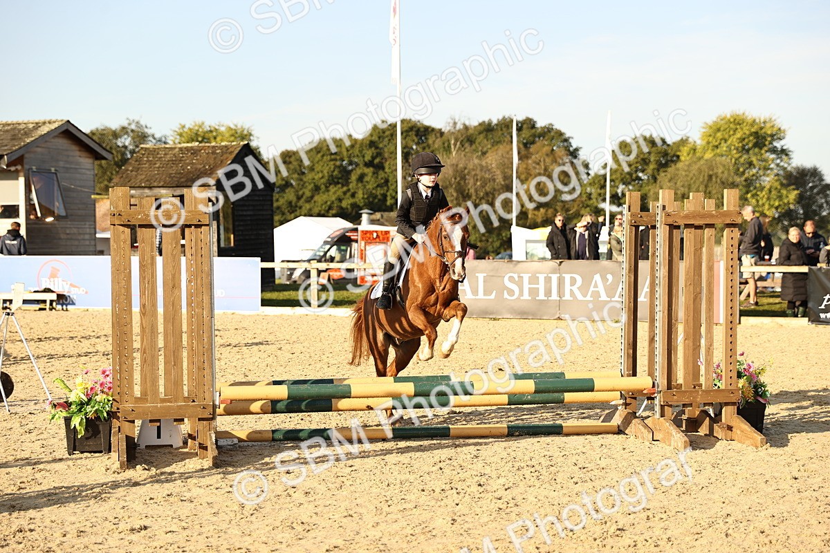 SBM_59401 - J11 - Junior Pony 50cm Championship
