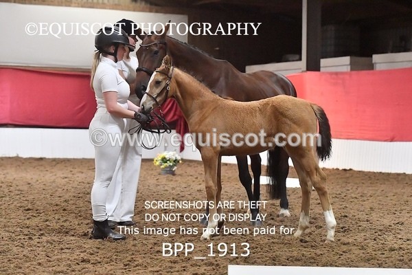 BPP_1913 - AFTERNOON 12.30 - 3.30PM