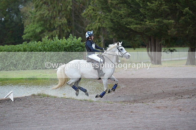 NGP_3375 - XC Time 11:59 to 12:15