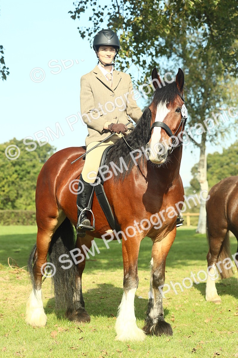 SBM_60015 - S38 - Starters Ridden Showing