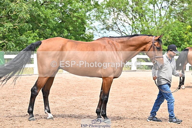 240718A-105255-01327 - Trot Up 12pm to 1pm