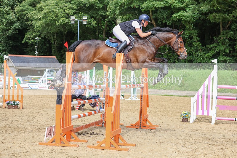 3E7A7620 - Class 9: Senior Foxhunter/1.20 open
