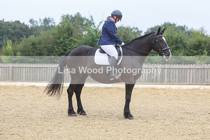 3E7A5316 - Class 2: Intro 4 2024 section B