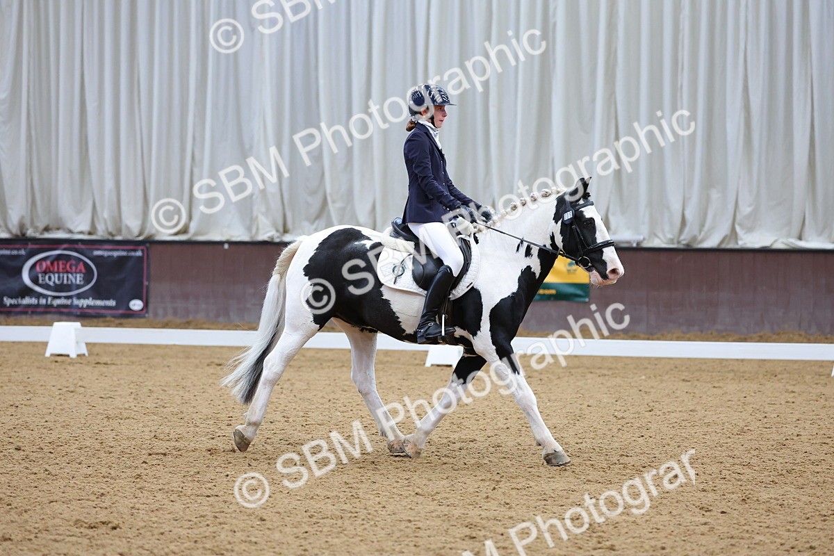 SBM_002602 - Novice