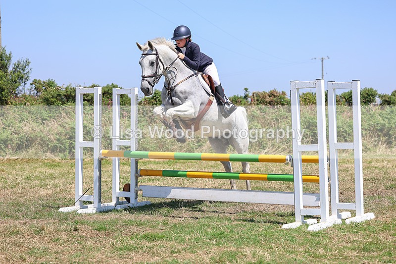 3E7A4388 - Class 10: Senior British Novice/90cm open