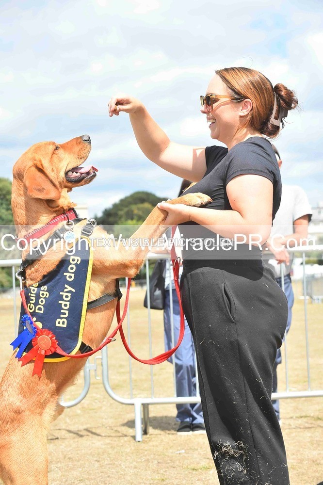SH4_0252 - Dog show.