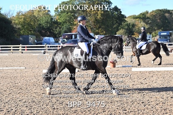 BPP_9475 - LONG ARENA
