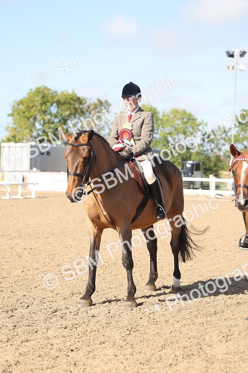 SBM_22340 - Class 803 - Ridden Combination 65+