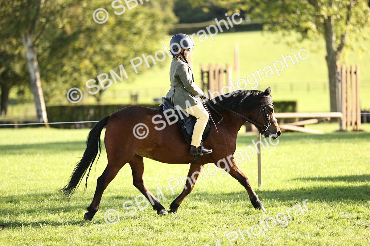 SBM_29438 - S7 - Novice & Newcomers Ridden Pony