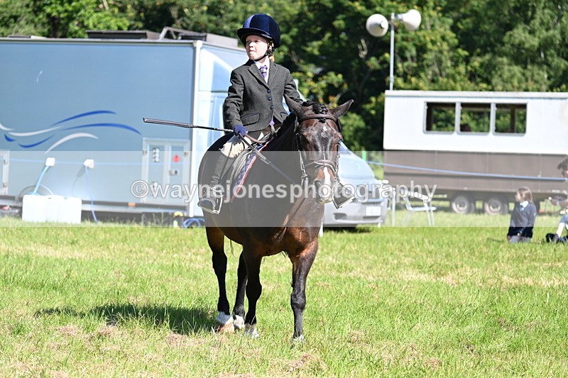 WJ7_0586 - Class 8 First Rally Pony