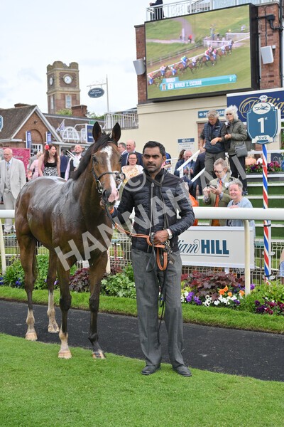 yr21052022r1-41 - Race 1: 1:40pm William Hill Play Responsibly Stakes