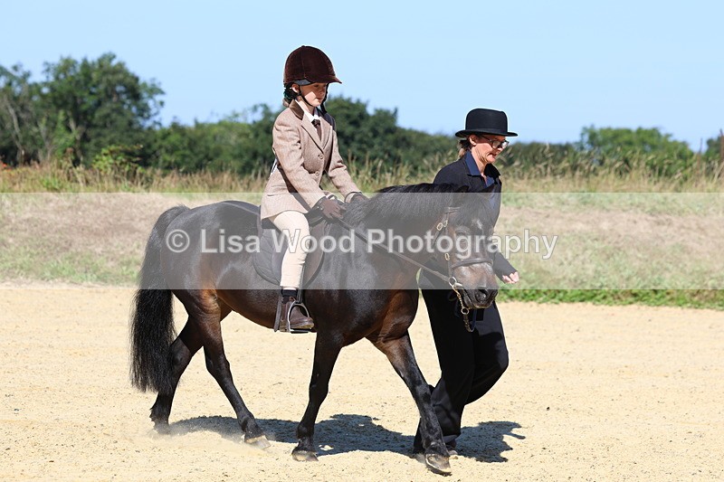 3E7A8069 - Class 15: Lead Rein