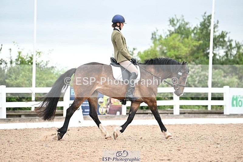 250705-090126-00635 - Intro1 Sections BDI1SEN, BD I1JNR 09.00 to 09.48