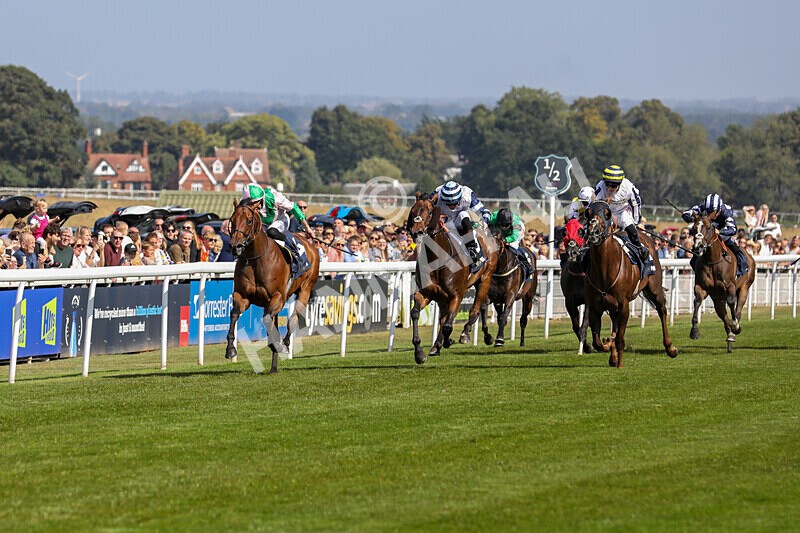 310824-Race 2-Democracy Dilemma-1116 - Race 2