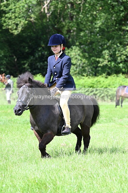 WJ7_1268 - Class 11 Condition & Turnout