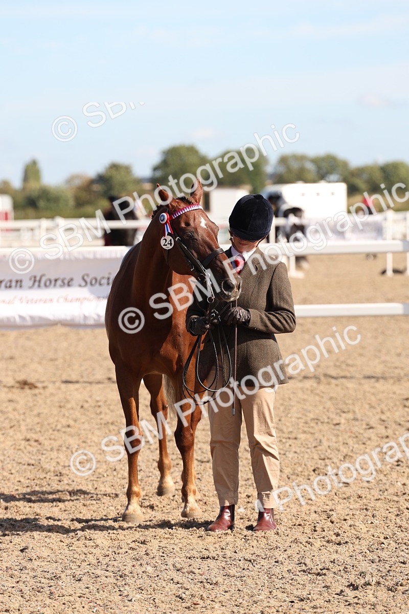 SBM_12833 - Class 205 - IH Show Pony - Show Hunter Pony